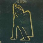 T.Rex - Electric Warrior - Mini Poster & Black Card Frame