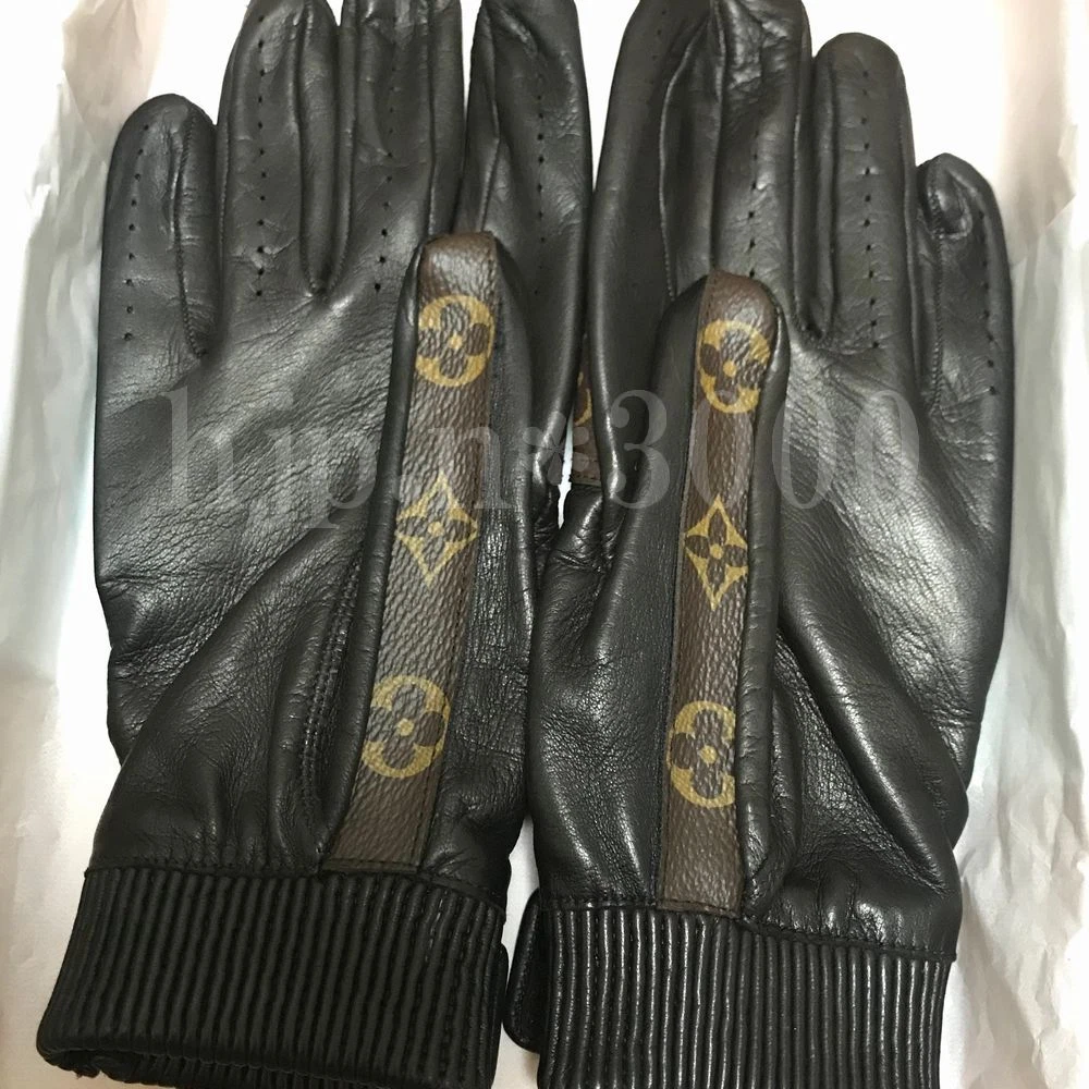 louis vuitton mittens