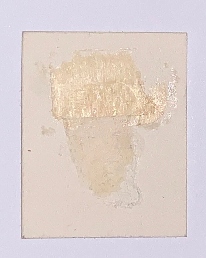 Sellos de viaje: sello de Estados Unidos de 1887-88 Sc#216 P4 5c prueba de troqueles de color y placa a prueba Foto 4 de 4