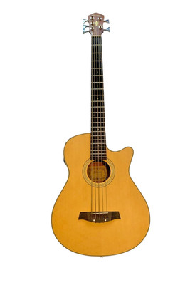 Ibanez 5-String Acoustic/Electric Bass AEB305-LG-OP-01 Made In Korea