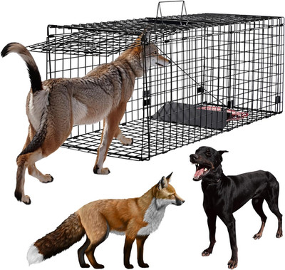 Humane Large Animal Trap Black 51.2 X 17.7 X 19.7 Inch, Easy to Set & Release An