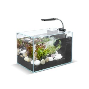 betta fish led light