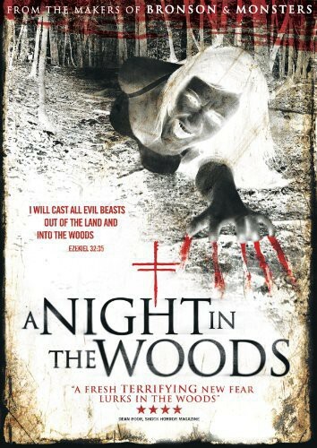 A Night in the Woods (DVD, 2014) Disc Only, No Case. Like new 