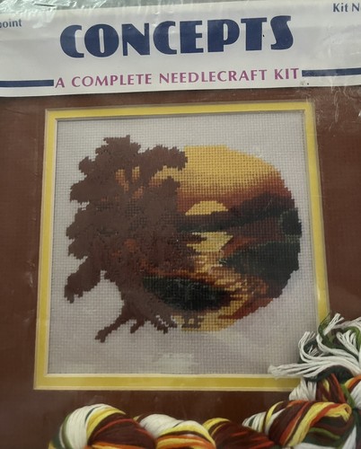 Kit punti croce con telaio e tappetino inclusi Concepts punto ago. - Foto 3 di 9