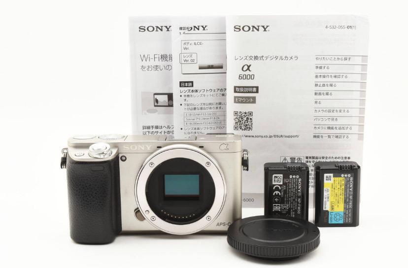SONY α6000 ILCE-6000 Body Silver Black Digital Camera | eBay