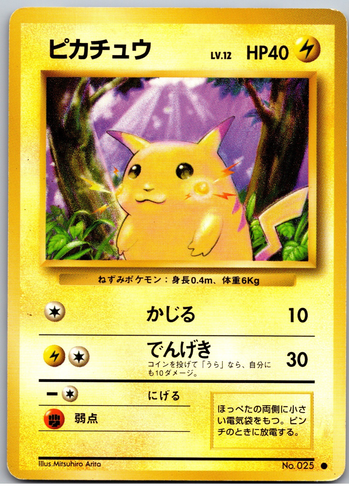 Pikachu Common Expansion Pack LP