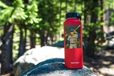 Ghibli Style X New York Mets Juan Soto