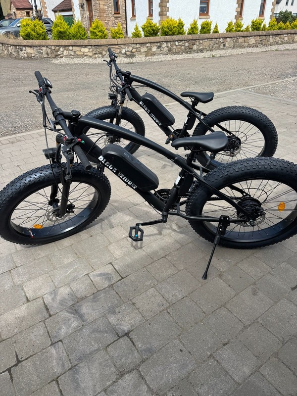 New black widow e bike