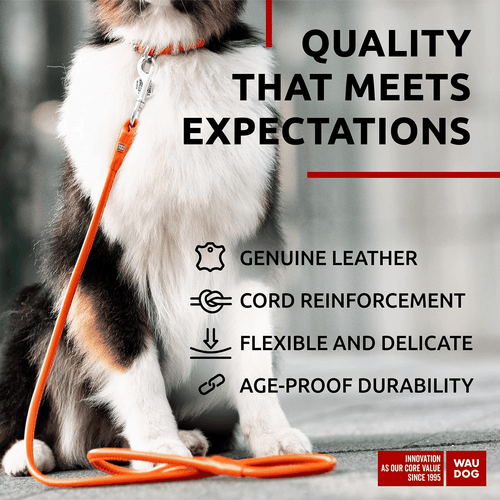 WAUDOG gerollte Leder Hundeleine 4 Fuß * 0,5 Zoll für kleine mittlere und große Hunde - Bild 3 von 6