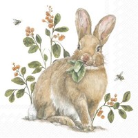 20 Servietten Garden Bunny Hase Kaut BläTter Tiere Garten Natur Ostern 33X33Cm