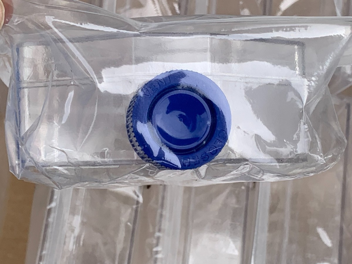 Thermo Scientific Nunc™ Cell Culture Treated Flasks w Solid