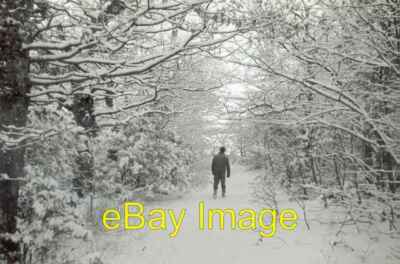 Photo 6x4 Woodland path 2 Porthmadog Taken in almost exactly the same spo c1960