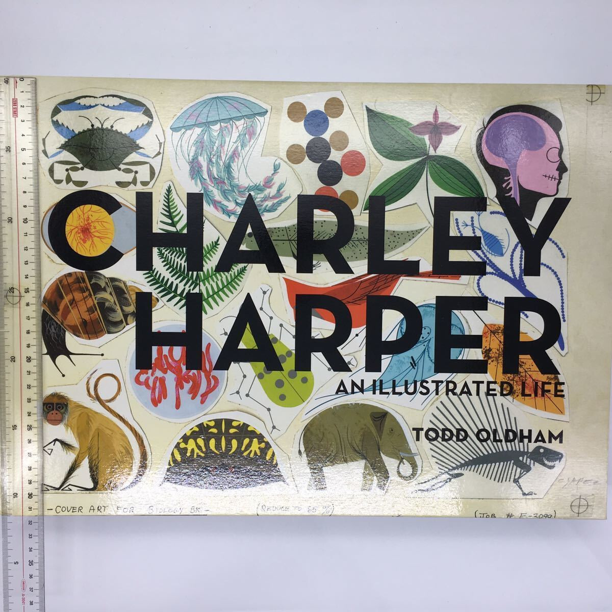 Charley Harper An Illustrated Life Todd Oldham Large Book