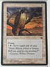 Mesa Falcon (A) - Homelands - Magic the Gathering MTG Nice!