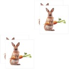  2 Pack Wandtattoo Schlafzimmer Wandtattoos Wanddekorationsaufkleber Für Kinder