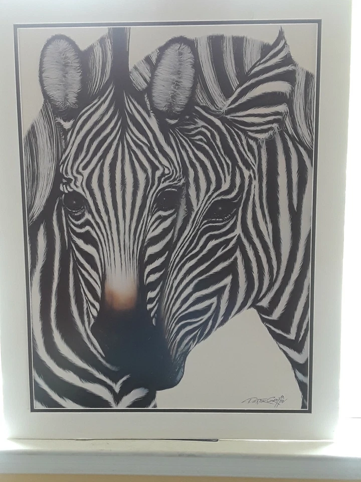 perfect 36x24 Print on Poster board "Zebra" Size 28X22 - Image 3 of 4