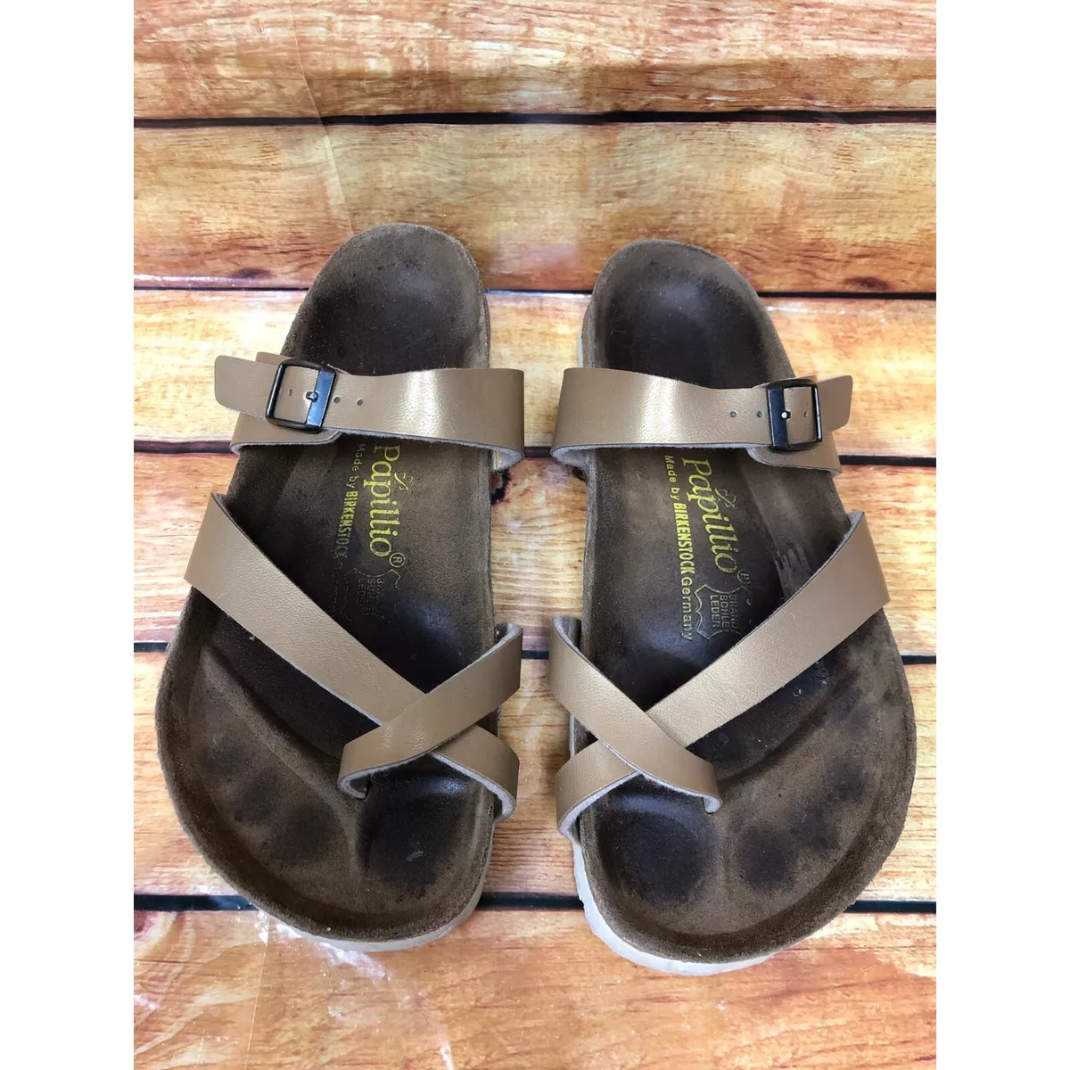 Papillio mayari new arrivals
