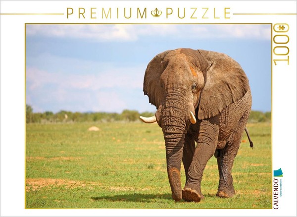 Calvendo Puzzle Elephant On Tour, Namibia | 1000 Pieces, Finished Size 25.2 × 18-image