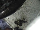 Picture 4 of 4