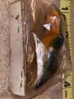 SUPER TUFF FIND UNKNOWN BAGLEY TYPE LURE! FROG COLOR LURE!! — photo 10