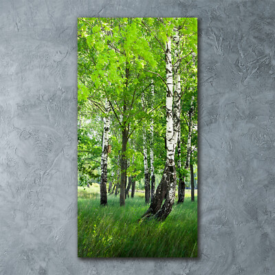 Wandbild Druck auf Plexiglas  Acryl Hochformat 60x120 Birkenwald