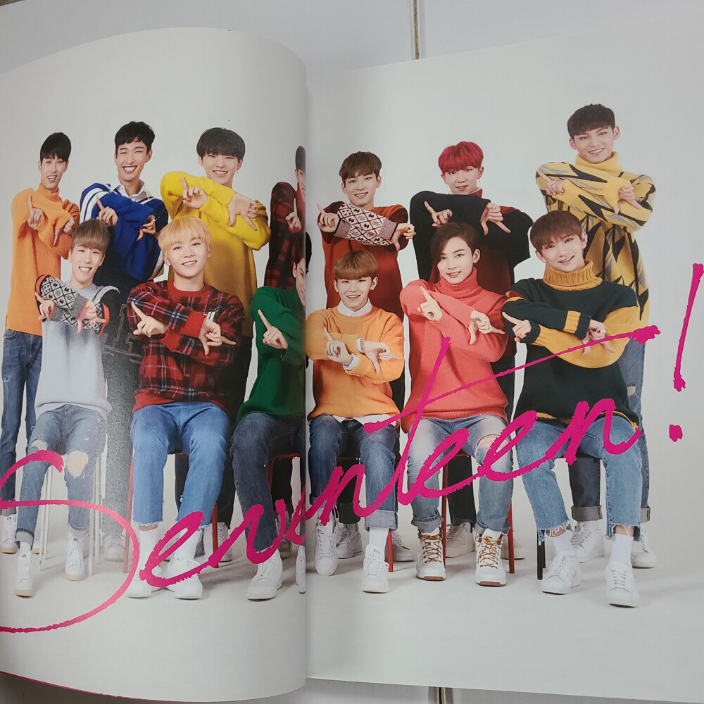 SEVENTEEN 2017 JAPAN CONCERT Say The Name pamphlet Photo | eBay