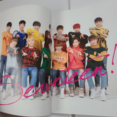 SEVENTEEN 2017 JAPAN CONCERT Say The Name pamphlet Photo | eBay