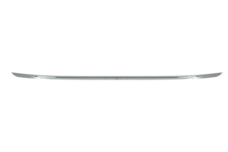 Rear Trim Strip Bumper For: BMW 1 F20, F21 11.10-03.15