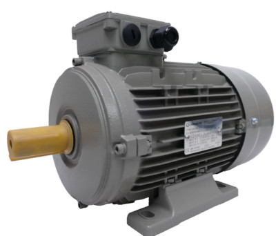 Lammers 15AA100L- 2 Drehstrommotor | 3-3,6 kW 2895-3474 rpm | Welle 28mm