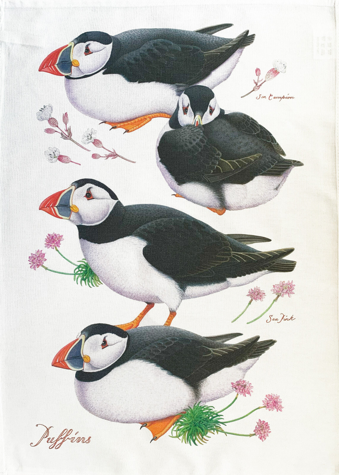 The Puffins Cotton Tea Towel, large, colourful, machine washable,