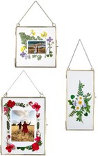 Double Glass Frame for Pressed Flowers, Leaf and Artwork - Set of 3 Hanging P...