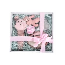 BARRY KING Hundegeschenkset ein Welpe oder ein kleiner Hund 5in1 rosa