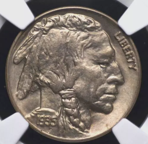 1935  BUFFALO NICKEL NGC MS 65 A WELL STRUCK LUSTROUS GEM IN SILVERY BRUSHED
