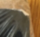 Picture 6 of 6