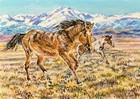 ACEO Original Art Horses Running Acrylic and Gouache Painting Denise Baptista