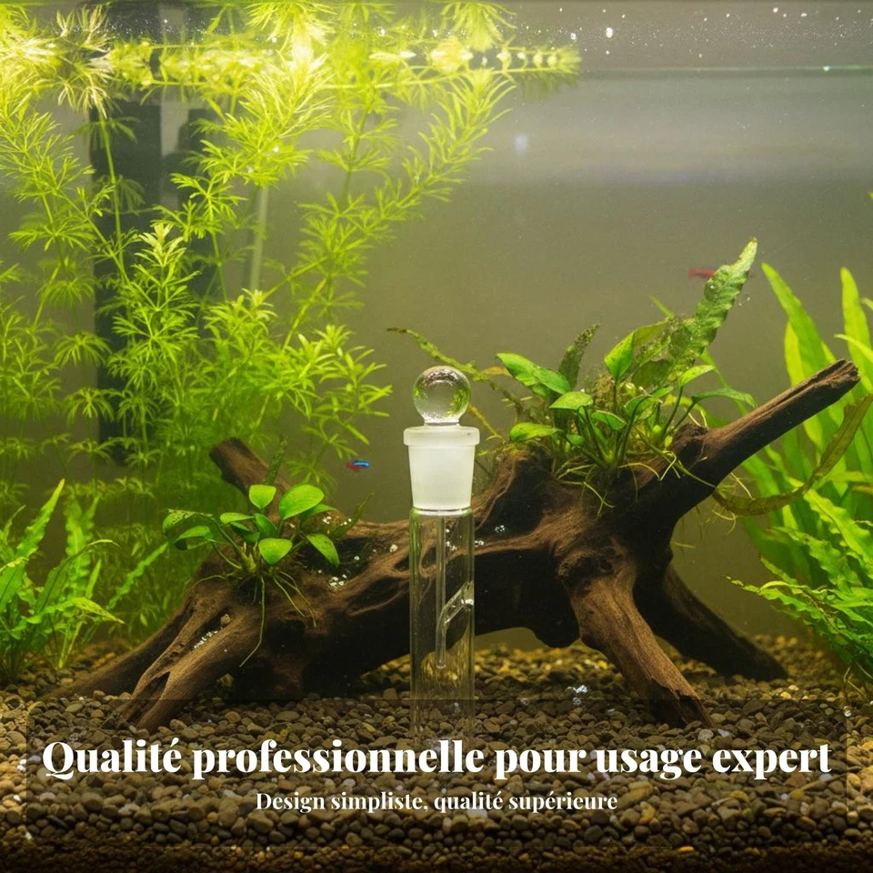Piège Planaires Verre sans Chimie Capture Efficace pour Aquarium - Photo 4/4
