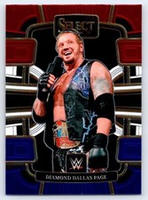 2024 Panini Select WWE #89 Diamond Dallas Page Red and Blue
