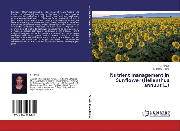 Nutrient Management In Sunflower (Helianthus Annuus L.) K. Bhanu Rekha-image