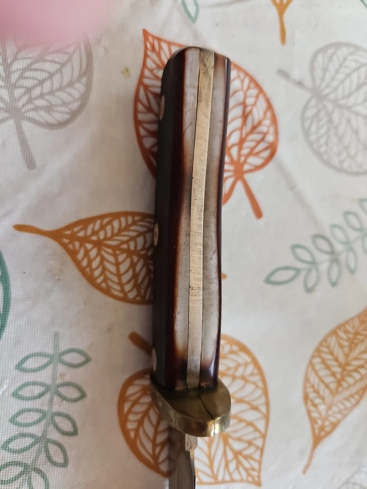 Tipo: Cuchillo de caza Schrade Mountain Lion (SR-160OT) Foto 4 de 4