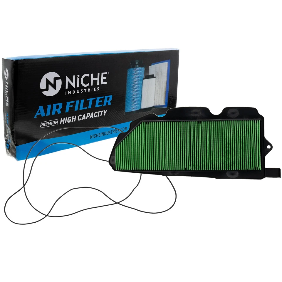 Filtro de aire de nicho para Honda Pioneer 1000 1000-5 1000-6 17215-HL4-AK0 2016-2023 Foto 3 de 4