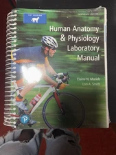 Human Anatomy & Physiology Elaine N. Marieb, Lorie A. Smith