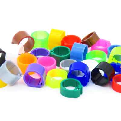E-Z Ring 8 mm Pigeon Identification Clip Rings. Made in Belgium. Plain. (50 pcs)