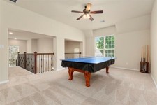 pool table/ping pong Table