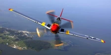 P-51 MUSTANG WWII Fighter Plane Poster Print 18x36 HI RES 9mil PAPER