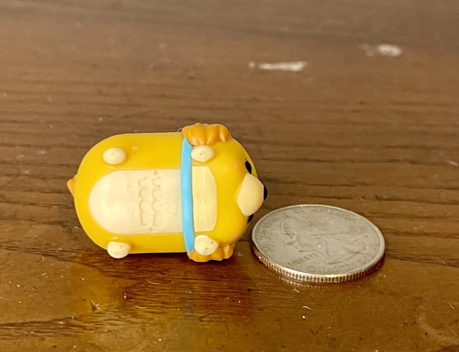 Picture 5 of 5
