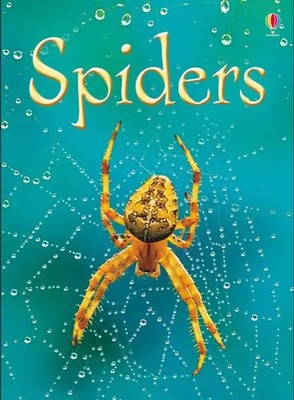 Spiders (Usborne Beginners) - Rebecca Gilpin