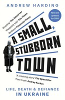 Andrew Harding | A Small, Stubborn Town | Taschenbuch | Englisch (2024) | 146 S.