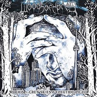 Woods Of Ypres - Woods 5 Grey Skies Electric Light - Vinyl Record - F123Z