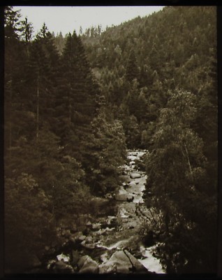 Glaszauber Laterne Dia DIE SCHWARZWALDREGION NR60 UM 1910 FOTO DEUTSCHLAND 