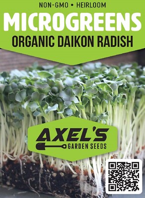 Organic Daikon Radish Microgreen Seeds – Heirloom, Non-GMO, For Sprouting & Growing